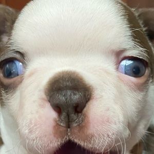 Meet your Posher, Steve